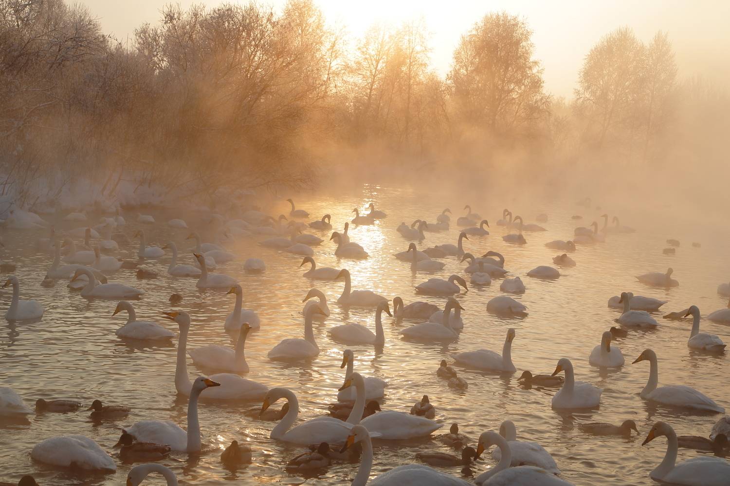 , Евгений Зинов