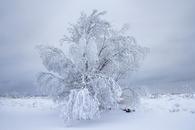 В снежном плену фото превью