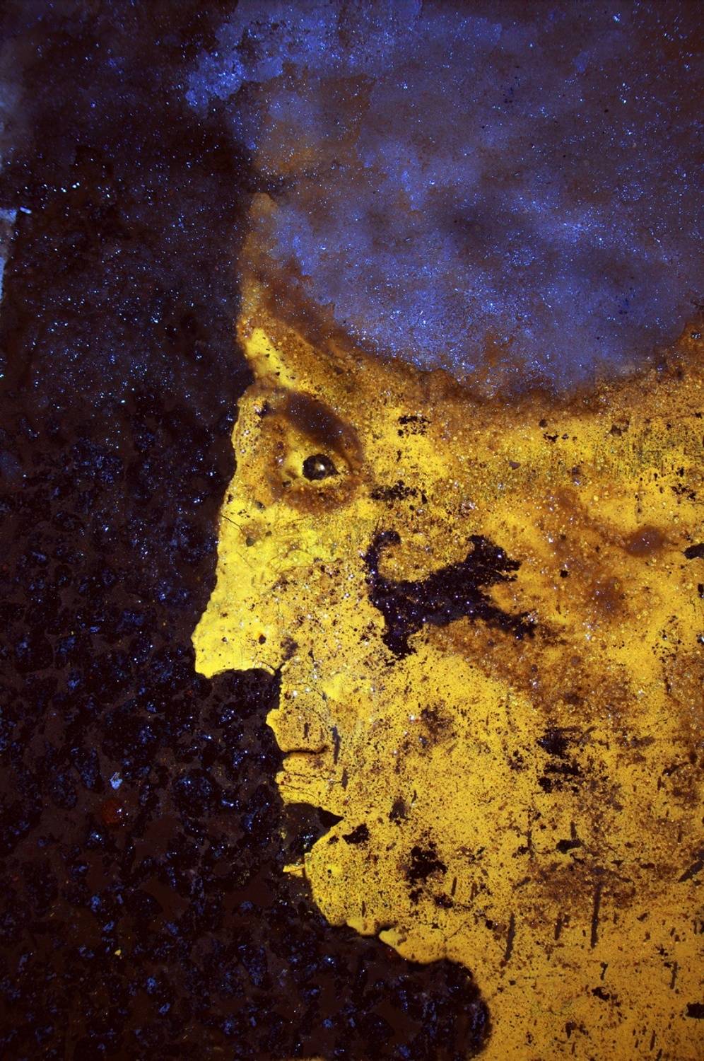 pareidolia, Илья Веулоп