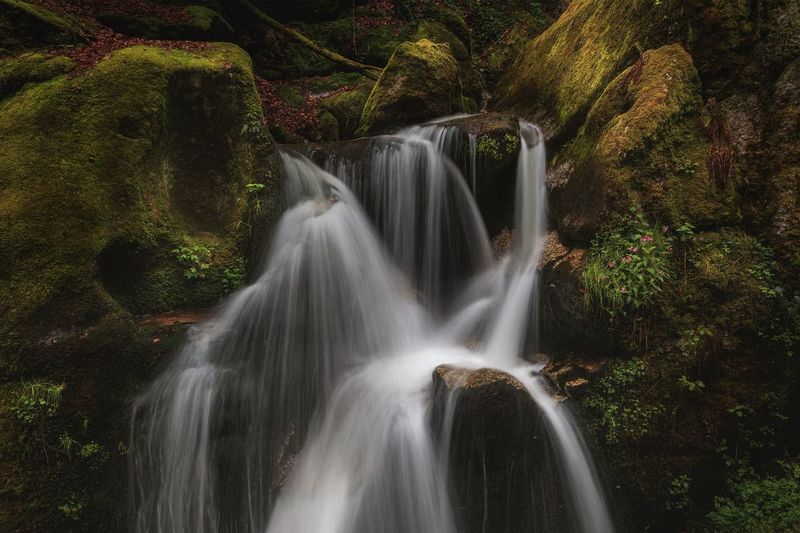Johann Piber фото превью