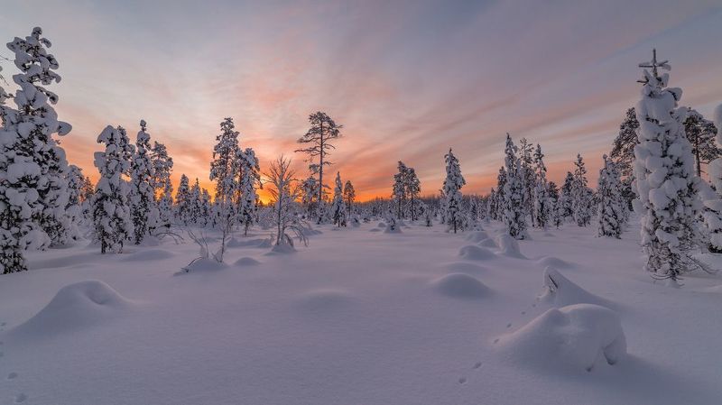 север, кольский, заполярье, Тихий рассвет фото превью