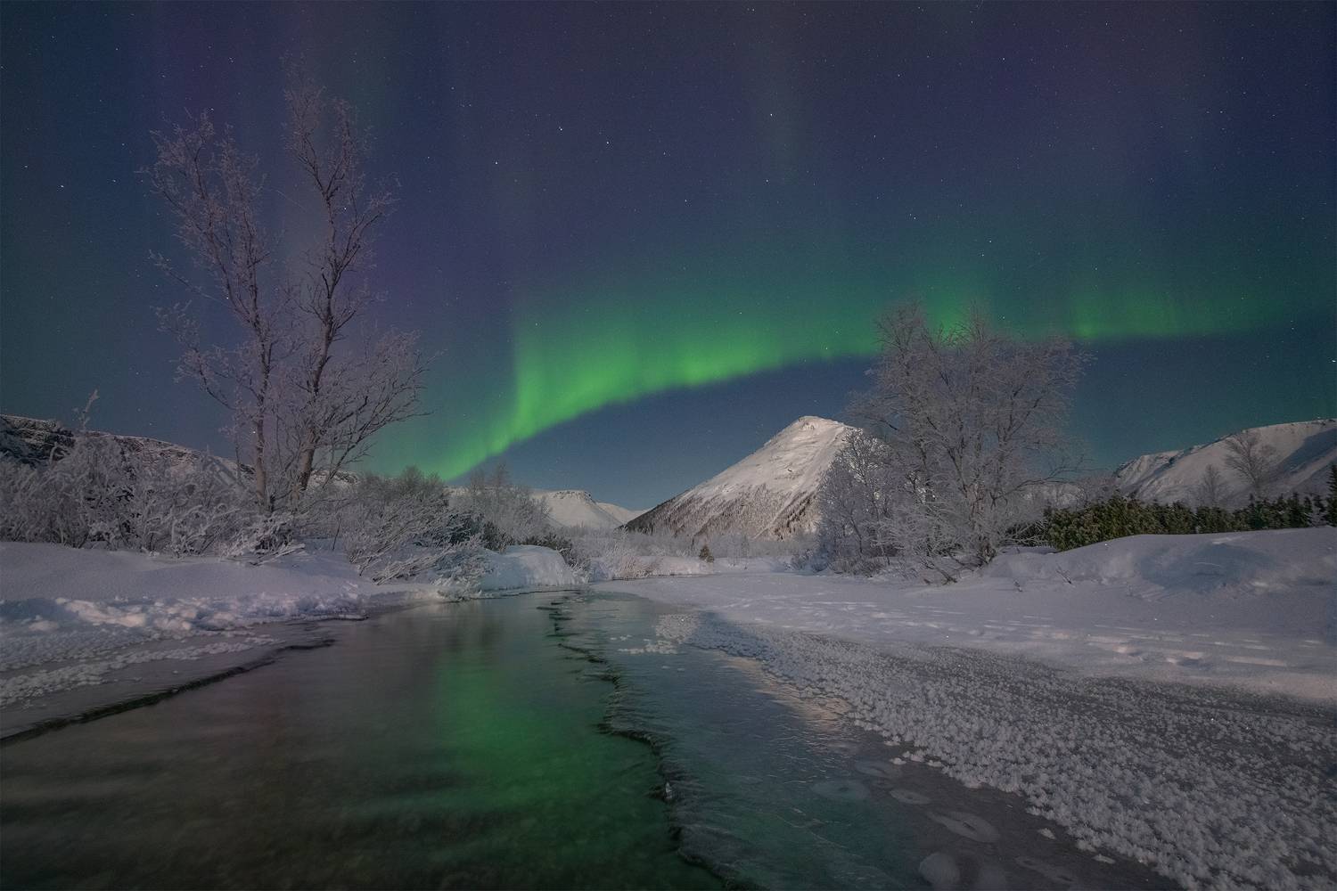 , Елена Ермолина