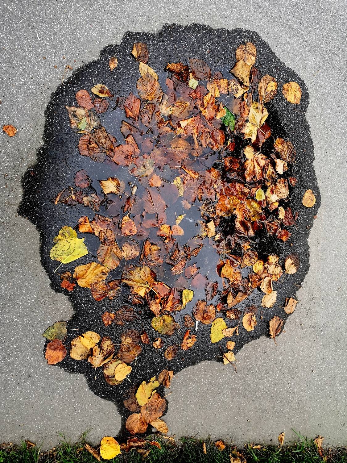 , Антон Лаба