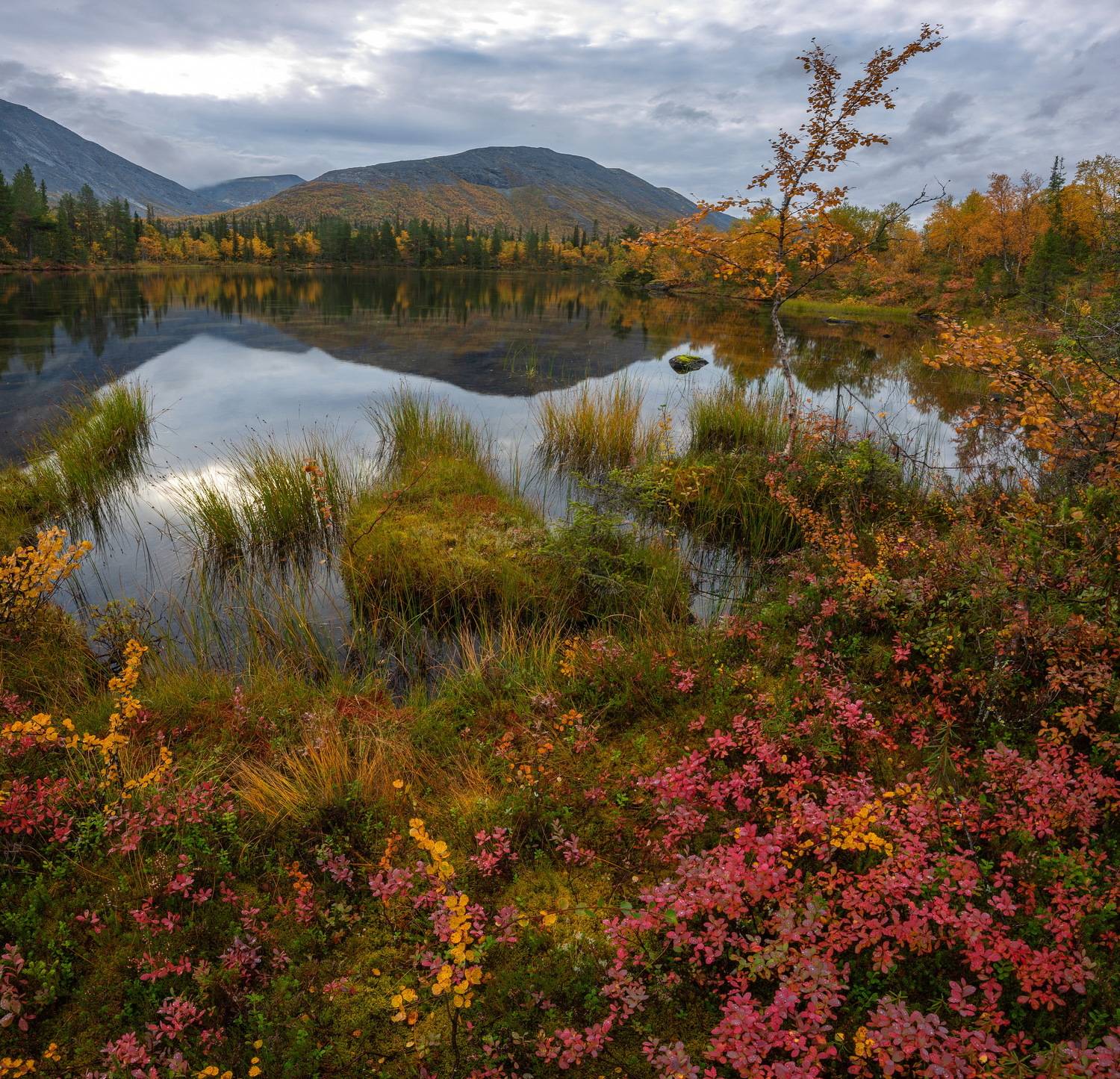 , Vladimir Bragilevsky