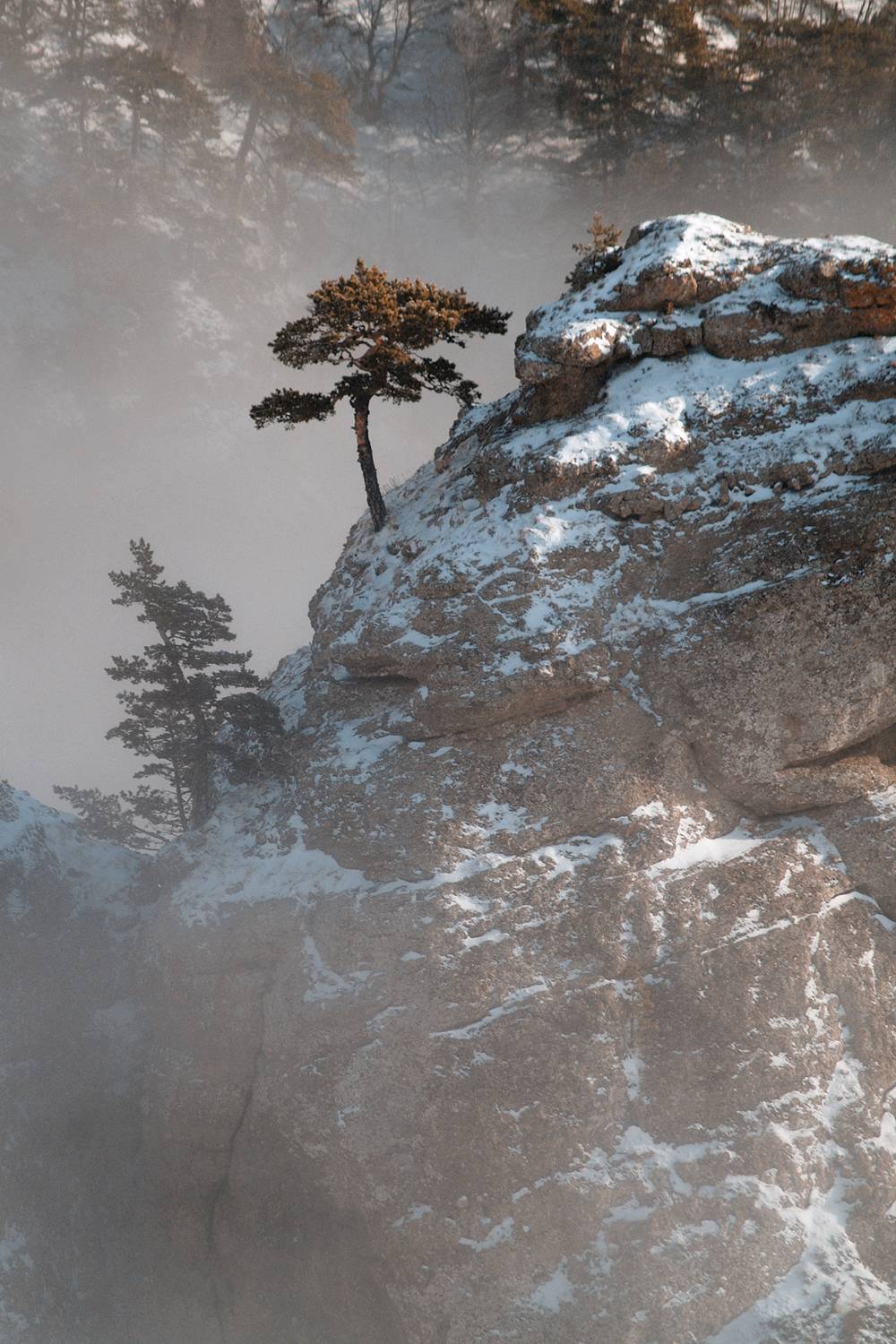 , Юрий Коваленко