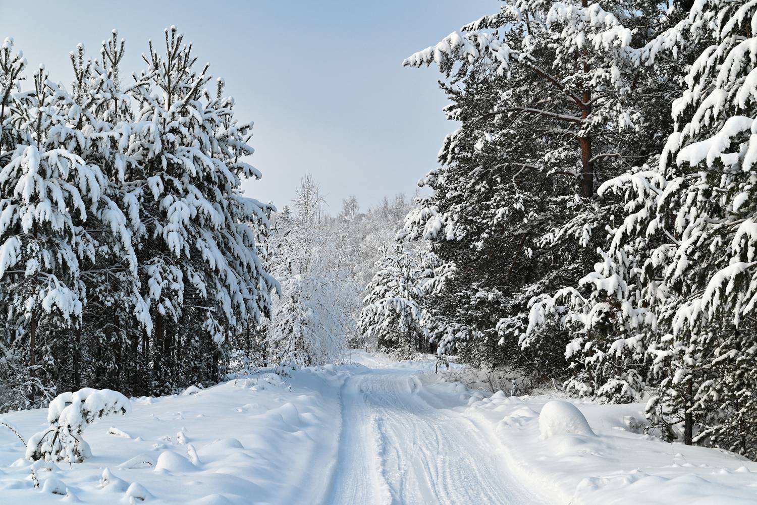 , Калёв Сергей