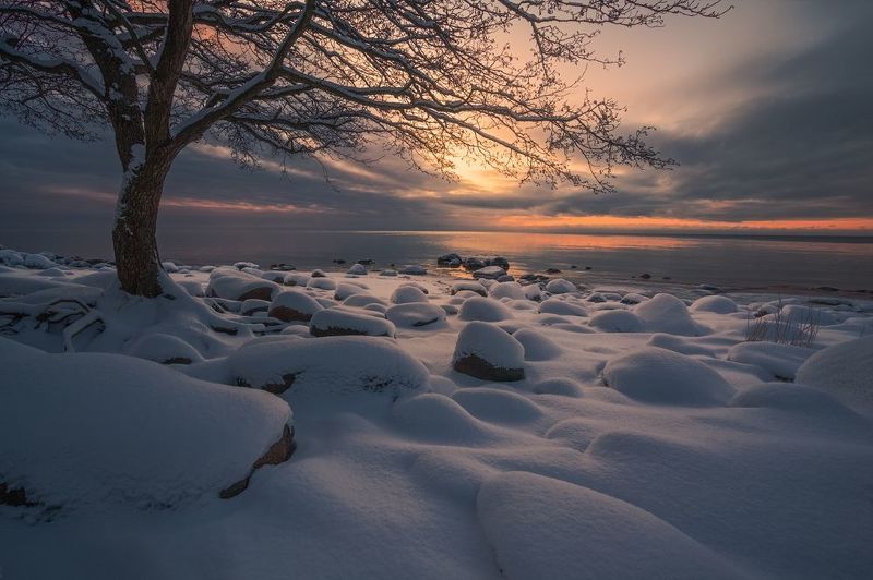 calm in the sunset фото превью