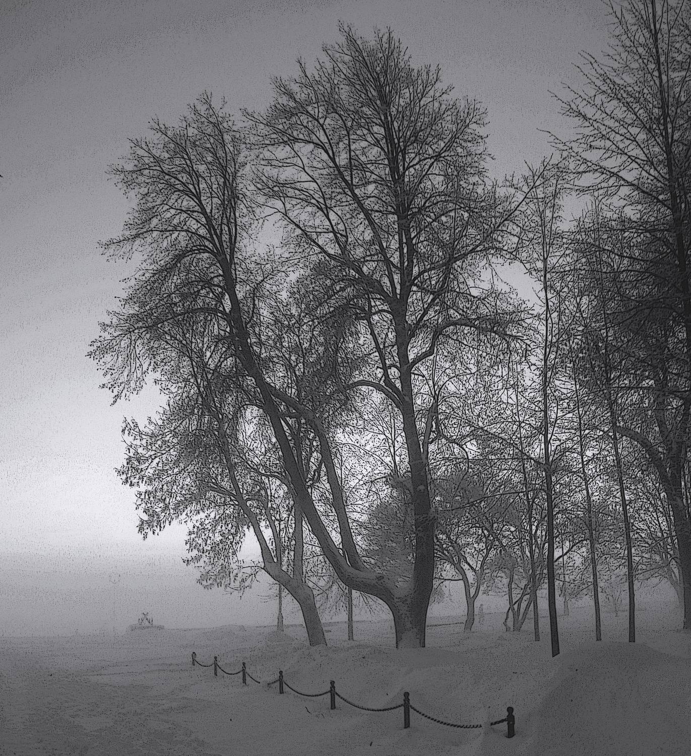 , Сергей Григорьев