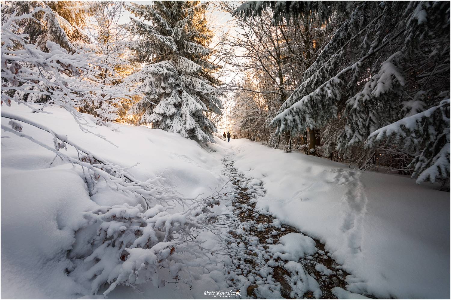 polska, zima, Kowalczyk Piotr