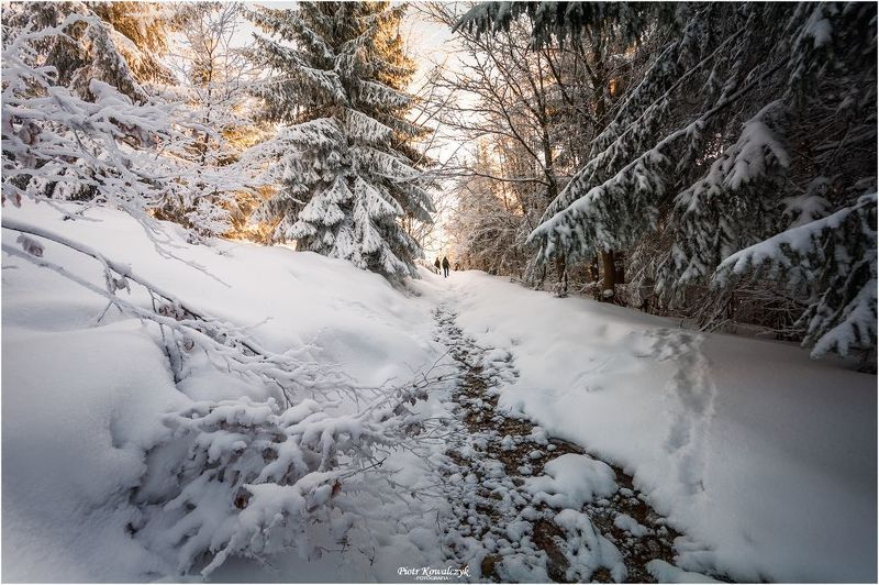 polska, zima *** фото превью