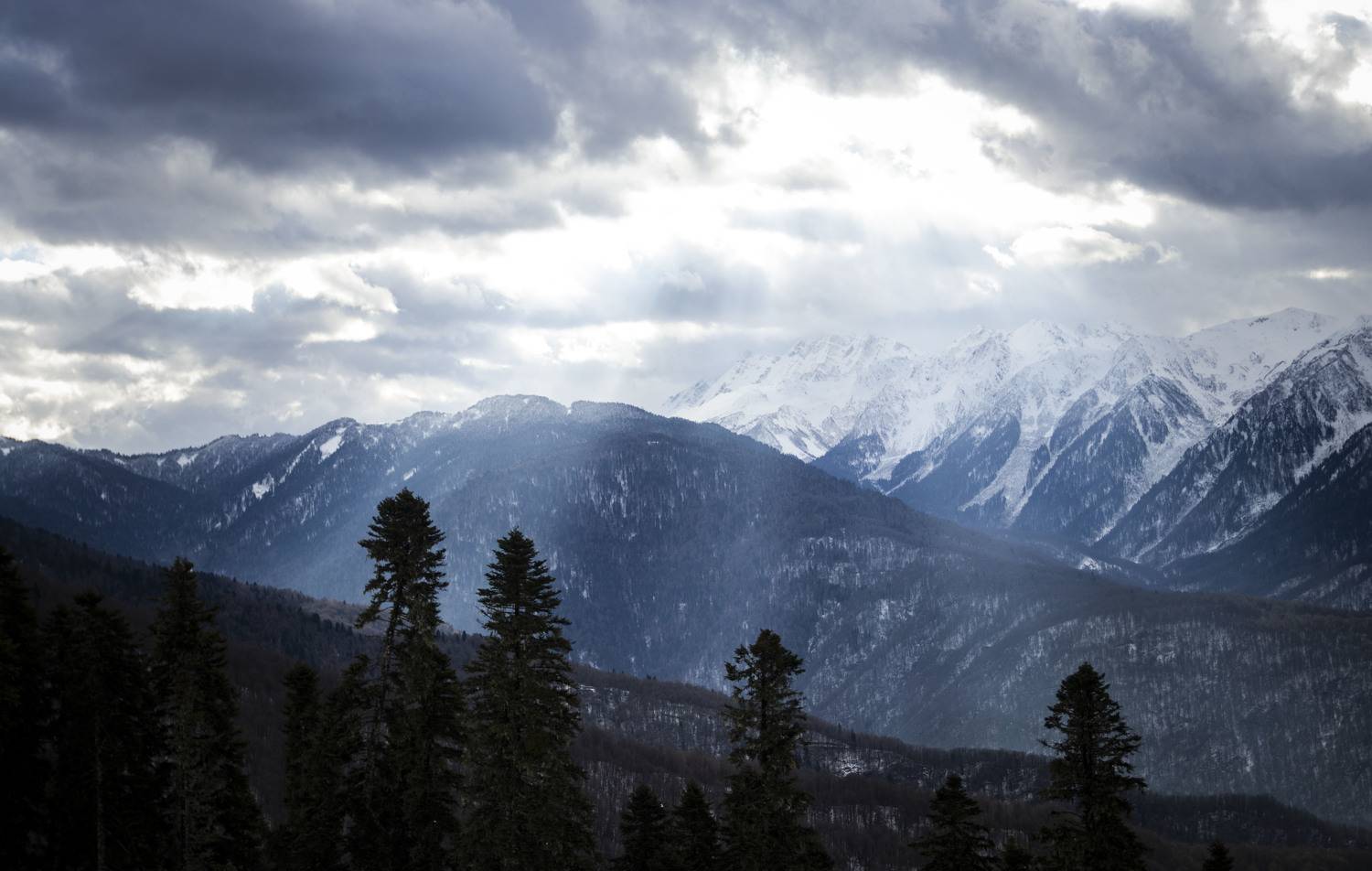 , Виталий Клюков