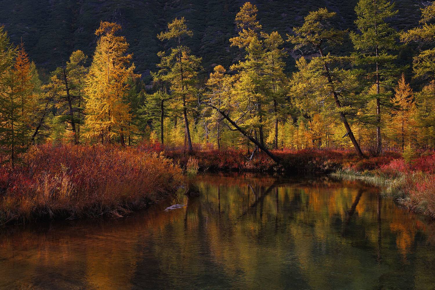 , Морозов Сергей