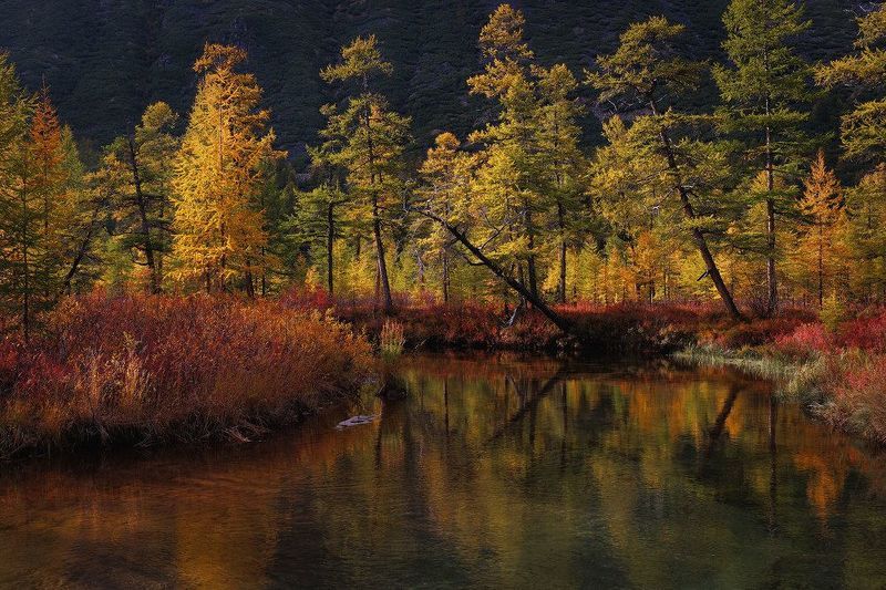 Ручей Неведомый фото превью