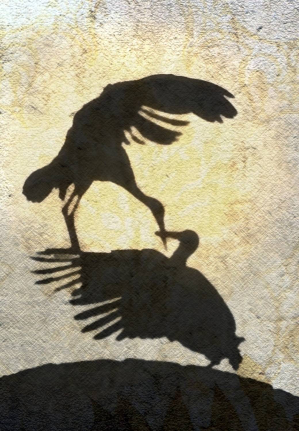 , Савоцкий Роман