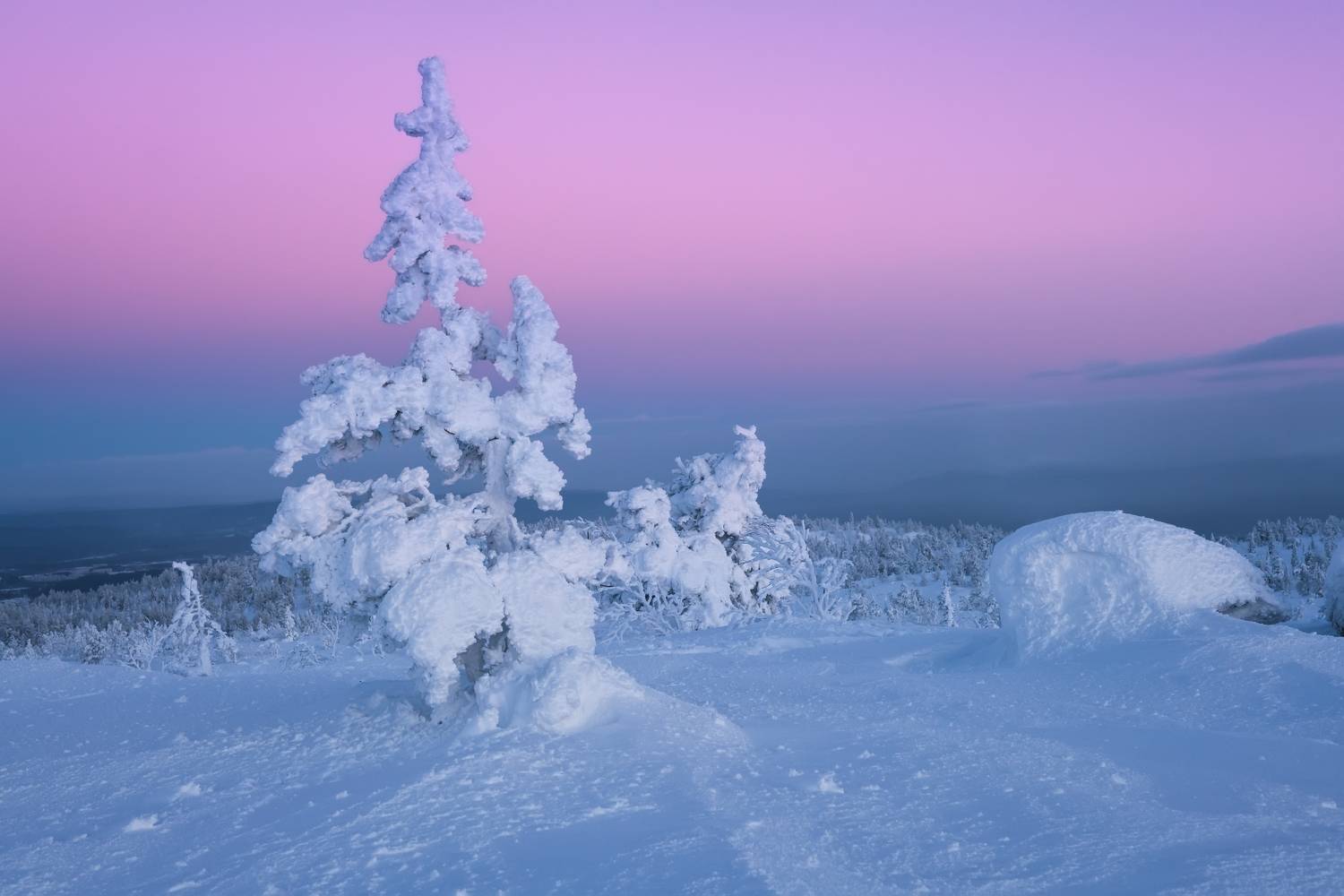 , Максим Евдокимов