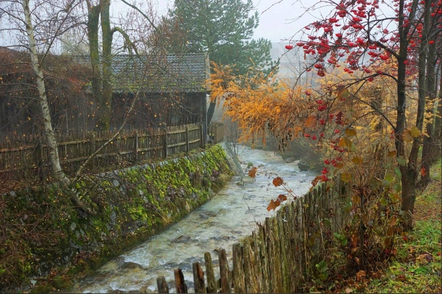 , Петр Косых