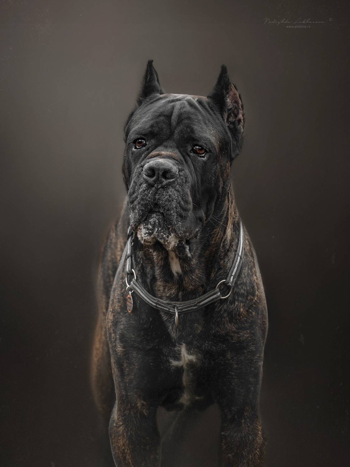 , Захарова Надежда