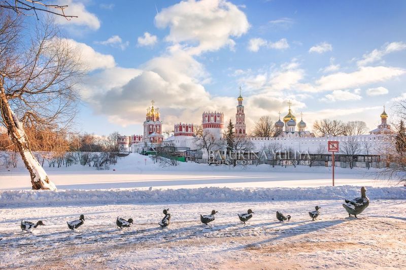 Новодевичий монастырь и уточки фото превью