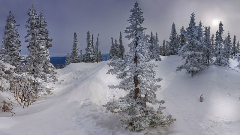 зима, снег, горная шория, шерегеш Среди зимы фото превью