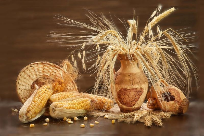 натюрморт, колоски, кукуруза, горшок С колосками фото превью
