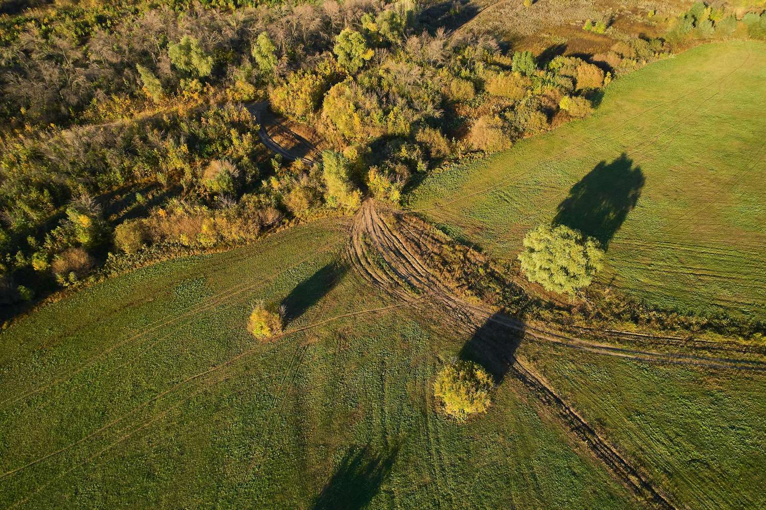autumn, volgograd, russia, wildlife, , Сторчилов Павел