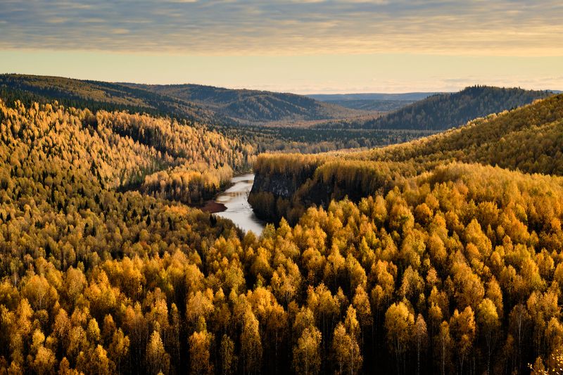 Золото пармы фото превью