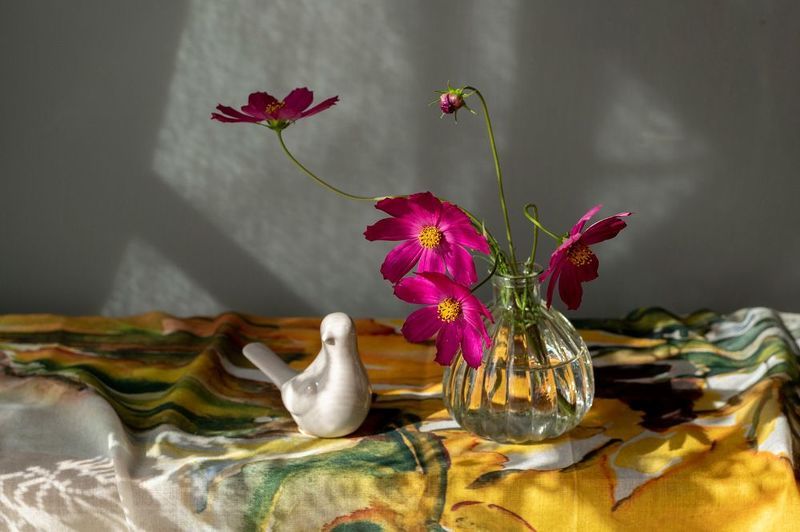 В летний солнечный день фото превью