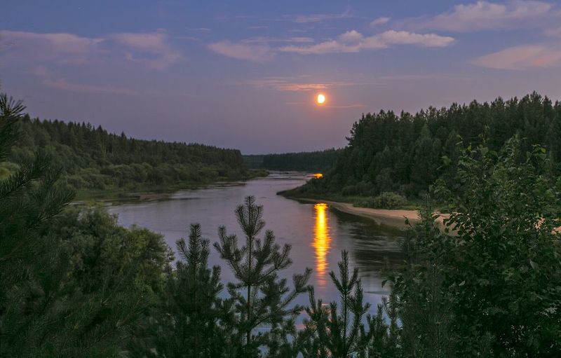луна, река, озеро, лес Лунное фото превью