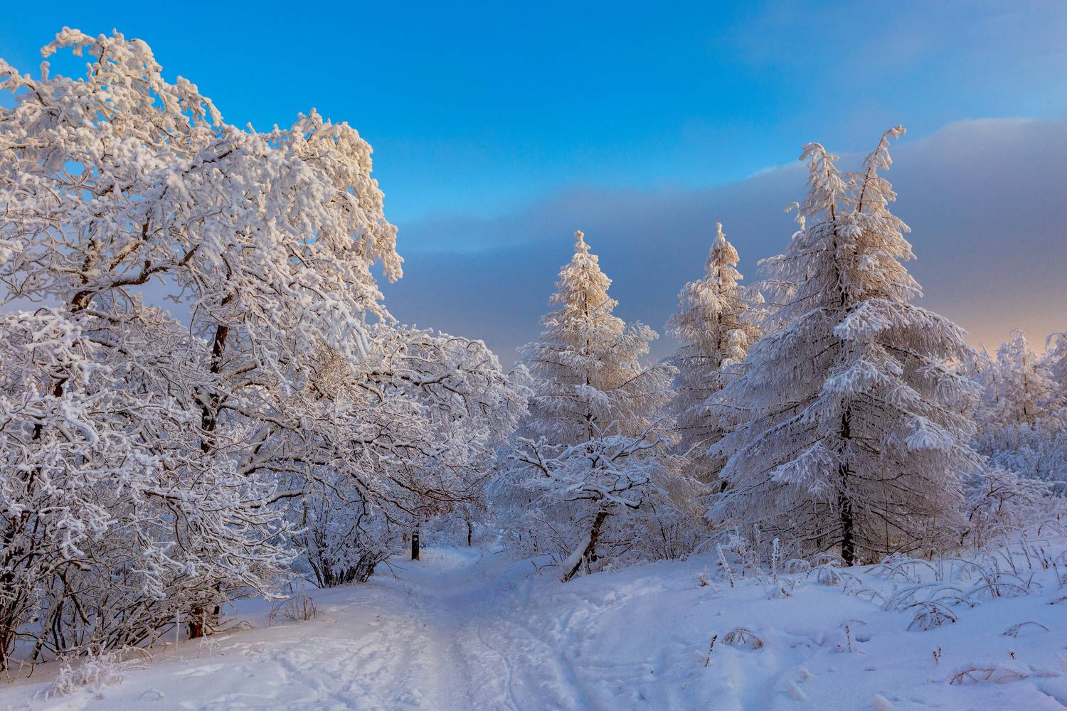 , Подосинников Максим