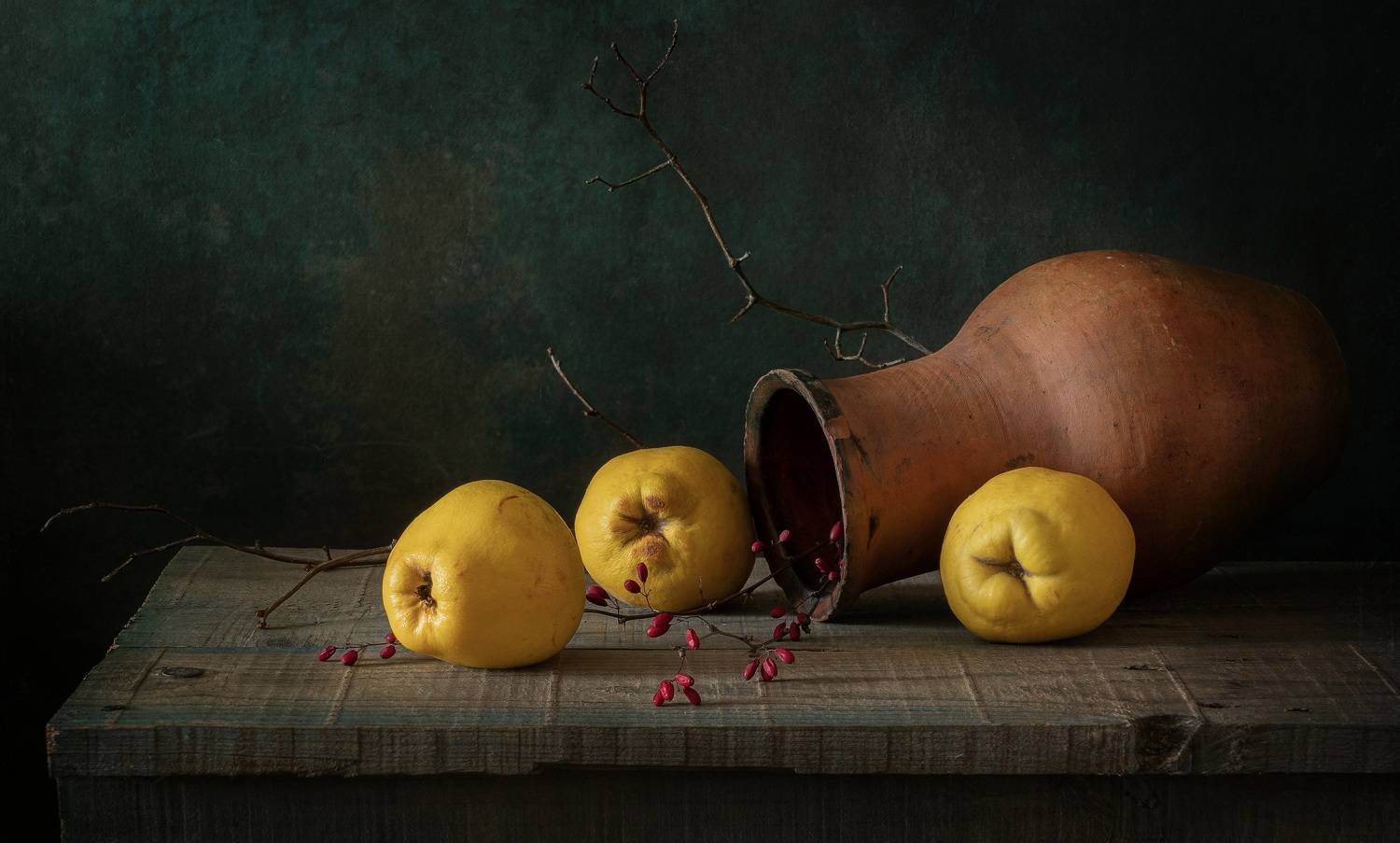 , Тришина Галина