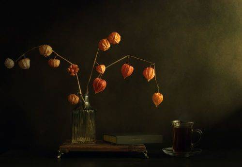 Физалис в вазе