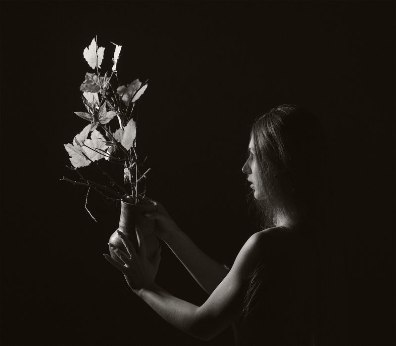 Цветок фото превью