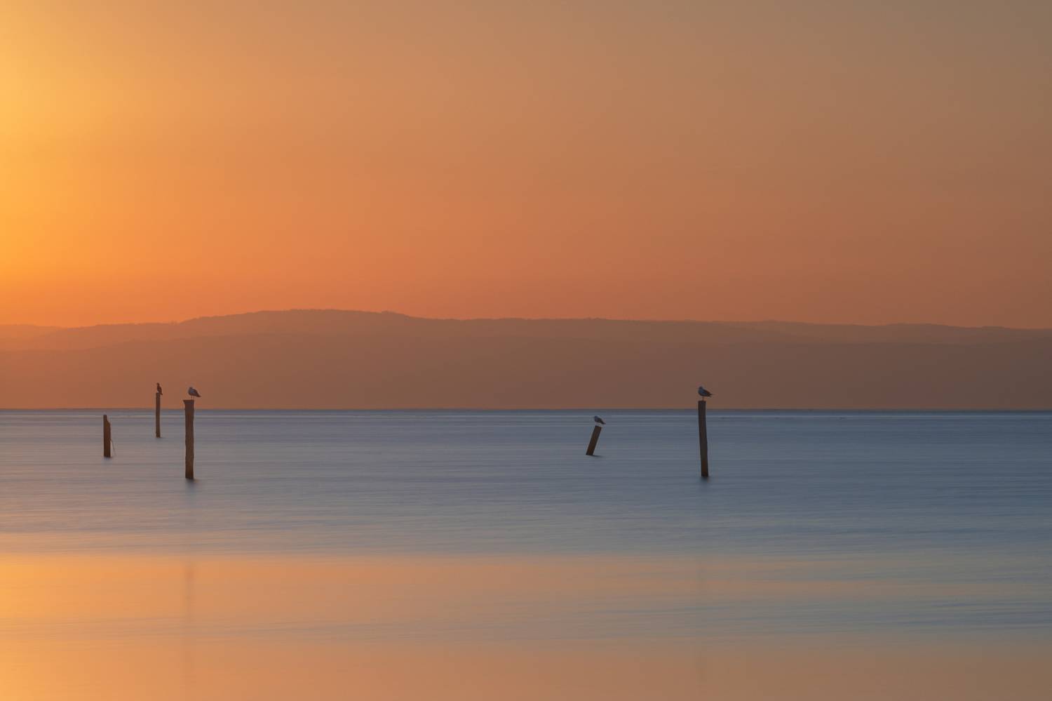 bird, gull, seagull, sleep, morning, sunrise, sea, seascape, sun, long exposure, Johann Piber