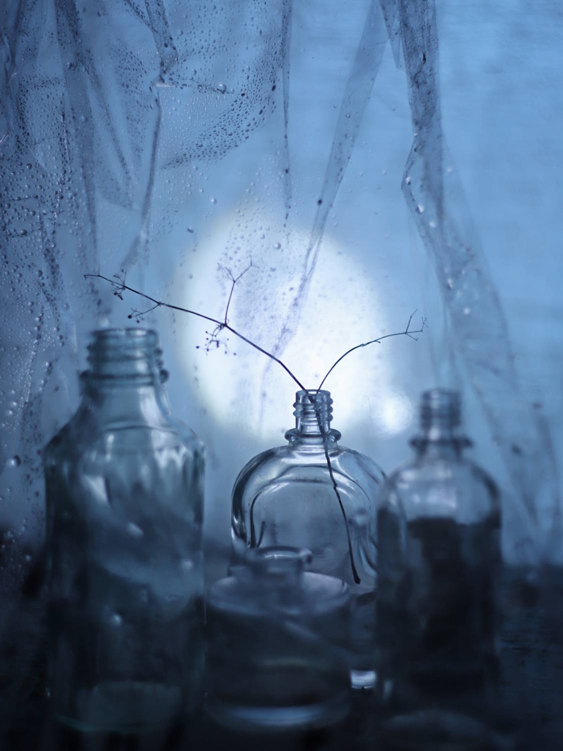 , Мурзина Ольга