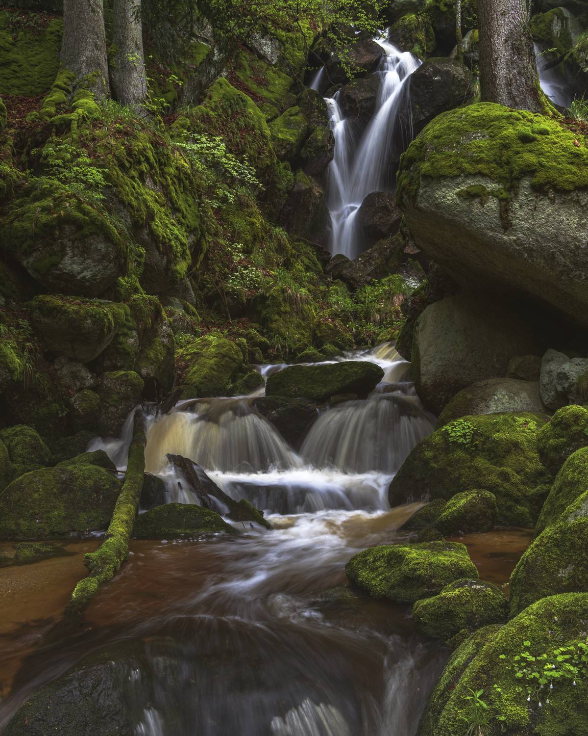 waterfall, ysperklamm, gorge, forest, woodland, water, river, green, Johann Piber