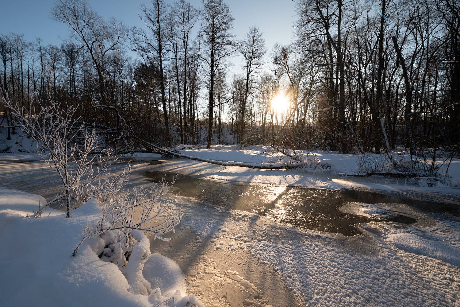 , Стрельцов Виталий