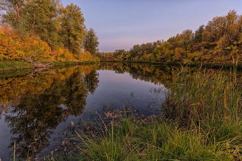 Осенний Булгаков