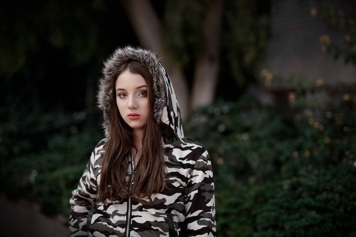 , Мишель Висипский