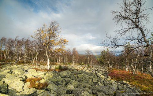 Динамика осени...