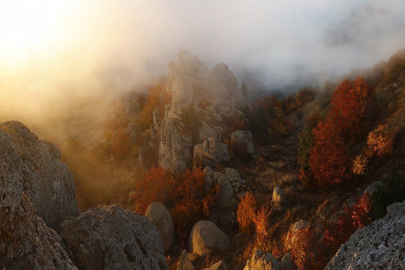 Осенним утром. фото превью