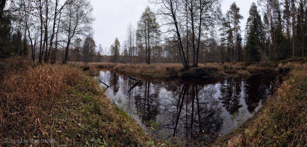 , Хохряков Николай