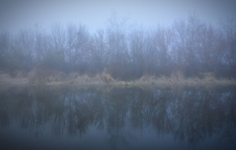 Осенний туман фото превью