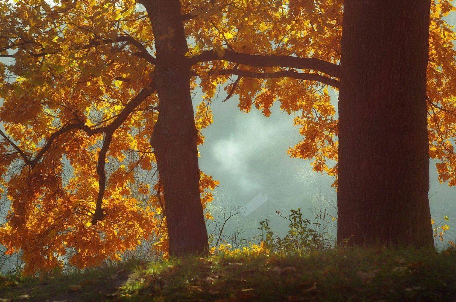 , Сергей Шляга