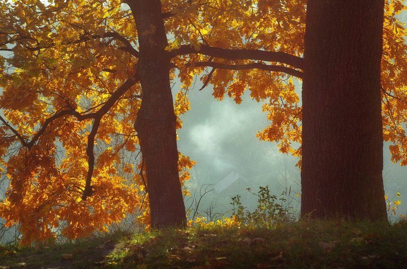 Окошко в осень фото превью