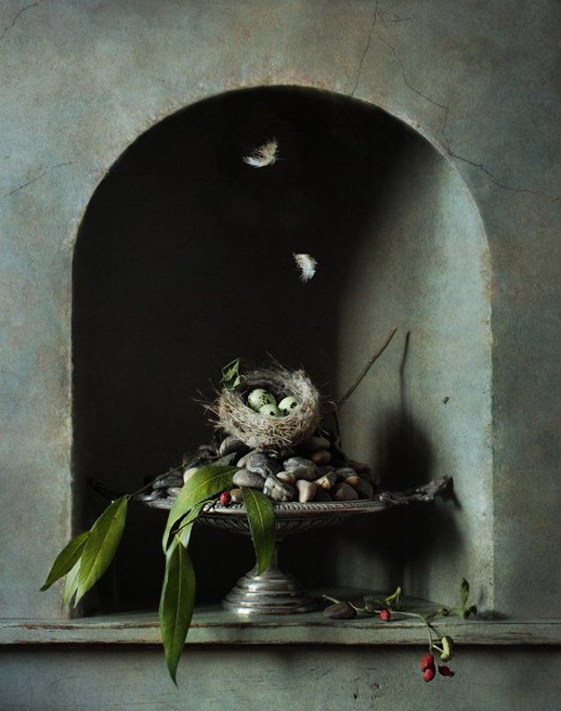 Гнездо фото превью