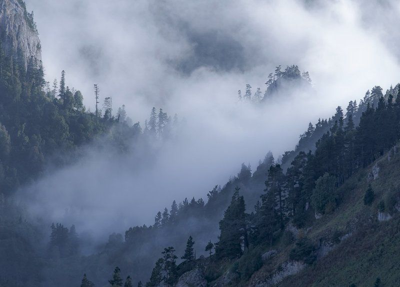 Там где живет \