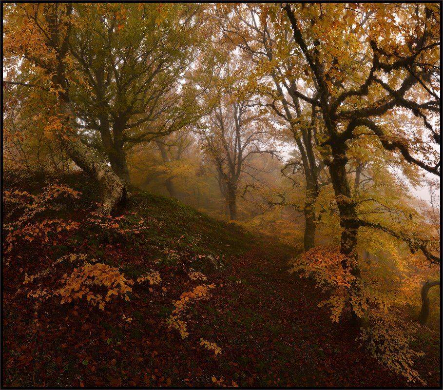 , Владимир Метцгер