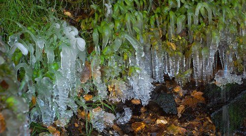 Pro лето и зиму в одном флаконе...