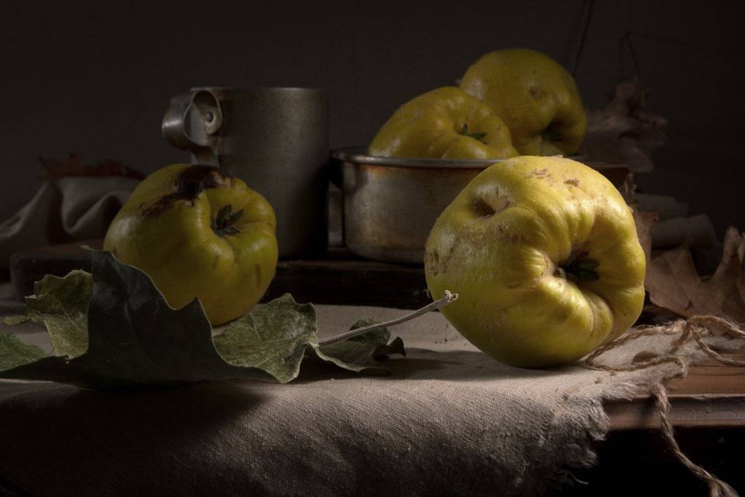 , Лев Сердюков