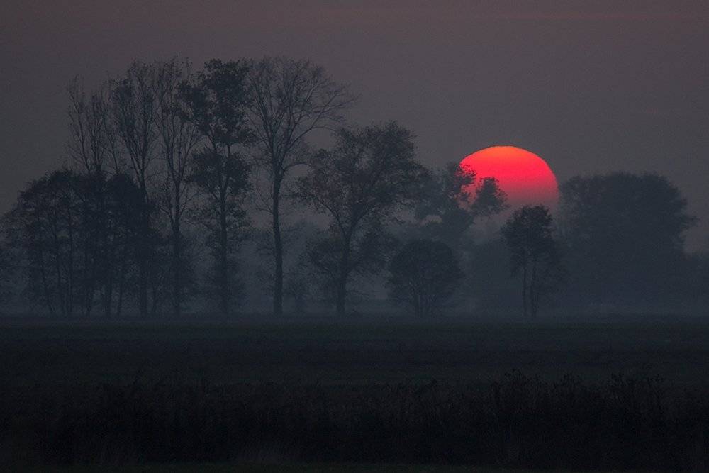 , Pawel Plucinski
